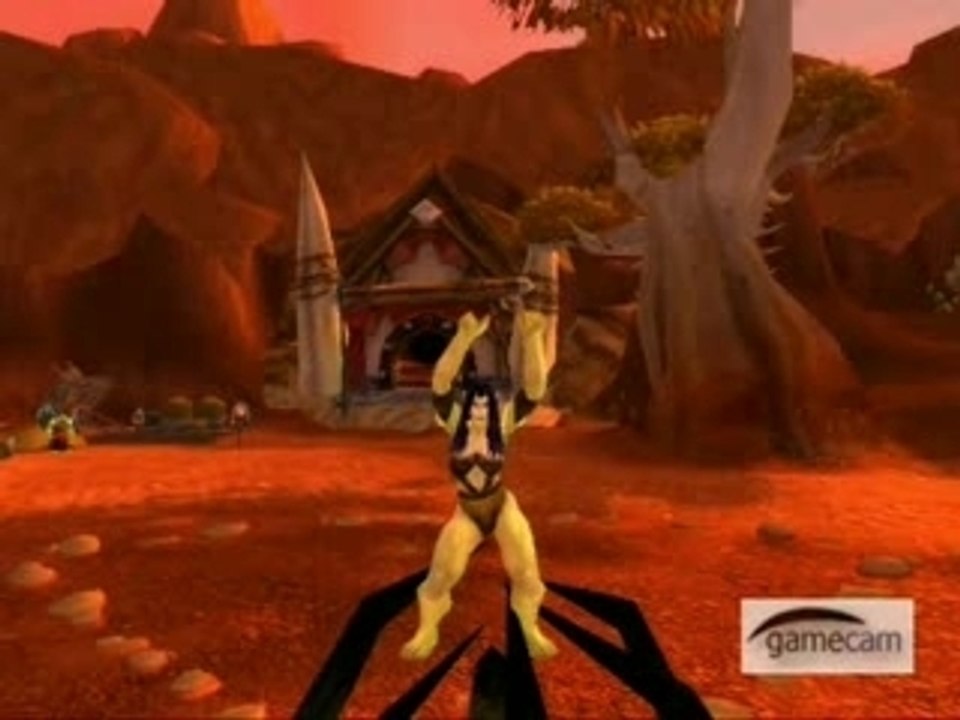 Wow Dance Délire