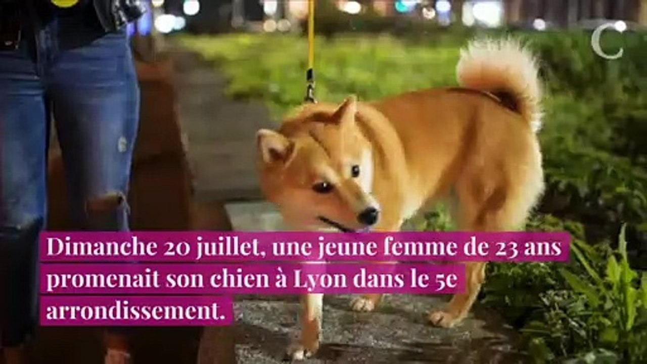 Abominable ! Ils renversent son chien puis percutent et traînent une jeune femme sur 800 m