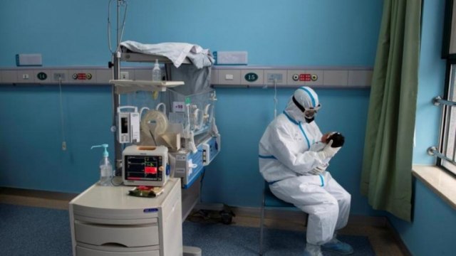 Pigs wander around freely at coronavirus hospital in Karnataka