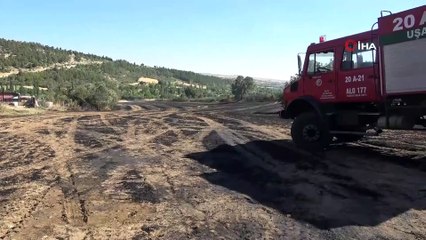 Uşak'ta tarlada çıkan yangın ormana sıçradı