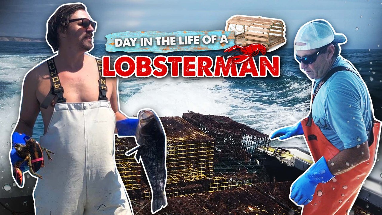 A DAY IN THE LIFE OF A LOBSTERMAN