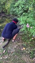 Small Bird Saved From Fishing Line