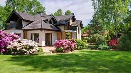 BC Early Bird Edition LLC