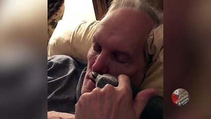 Parrot and owner share a special relationship
