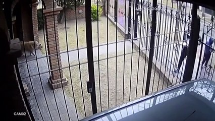 Nene de 5 años trató de defender a su mamá de un ladrón