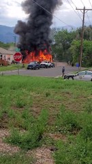 Firemen Rescue Dog from Fast-Spreading Fire
