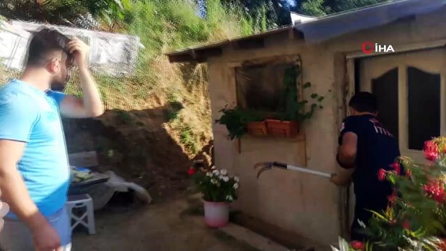 Tandıra giren yılan itfaiye ekiplerini harekete geçirdi