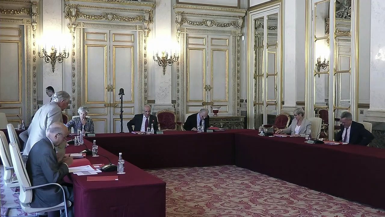 Affaire n° 2020-853 QPC