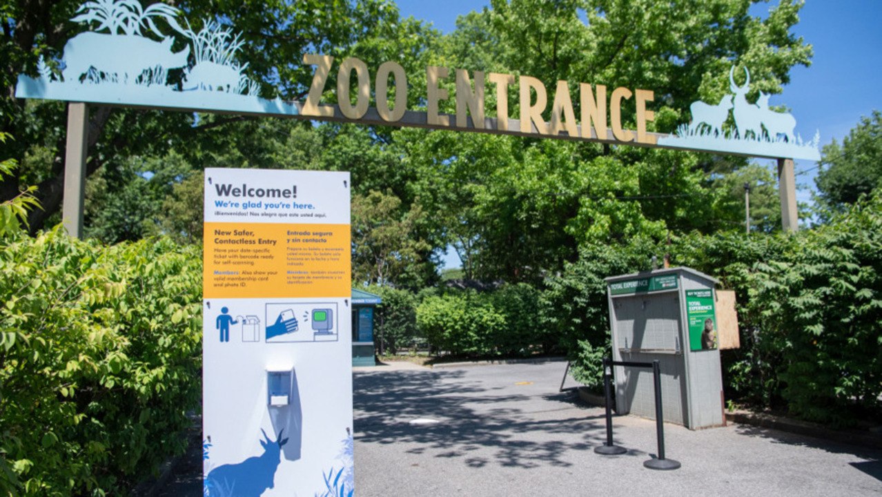 The Bronx Zoo Is Reopening to Visitors This Week