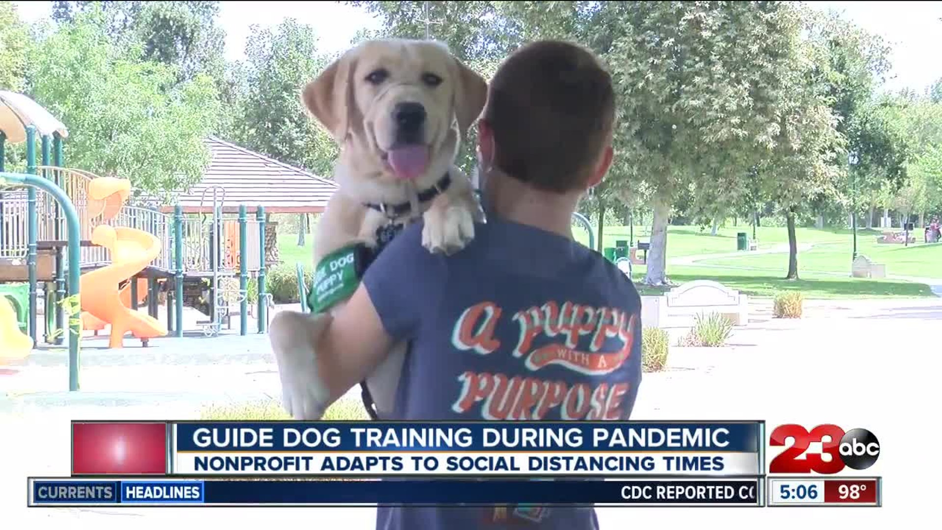 ⁣Guide Dogs for the Blind adapts puppy training to social distancing guidelines