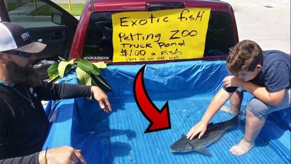 DIY TRUCK FISH POND Aquarium Petting ZOO!!!