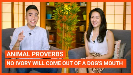 Animal Proverbs: No Ivory Will Come Out Of A Dog's Mouth | Intermediate Lesson | ChinesePod (v)