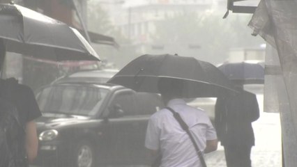 [날씨] '대서', 더위 대신 장맛비...곳곳 국지성 호우 / YTN