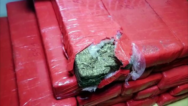 Choque detém mulher e faz apreensão de maconha na Rodoviária de Cascavel