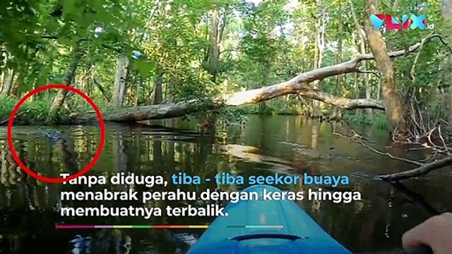Harus Nonton! Detik-detik Mengerikan Lelaki Diserang Buaya