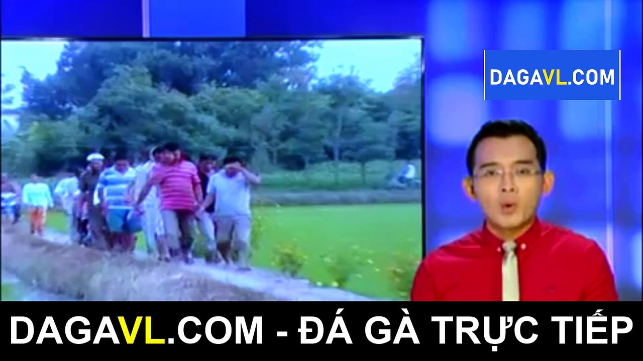 DAGAVL.COM - Bắt 40 đối tượng đá gà ăn tiền tại Gò Công Đông; đá gà trực tiếp; đá gà thomo; đá gà campuchia