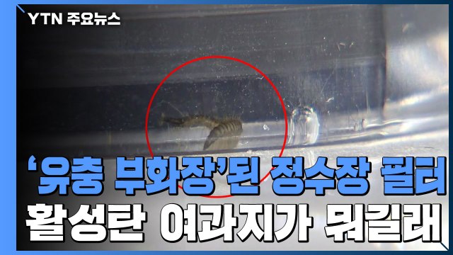 '유충 부화장'된 정수장 필터...활성탄 여과지란? / YTN