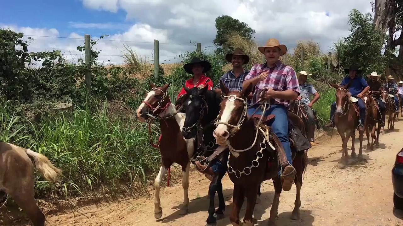Cowboy and Grazing Horses