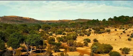 Megan Fox, aslanlara karşı! Aksiyon filmi "Rogue", 28 Ağustos'ta dijitale geliyor