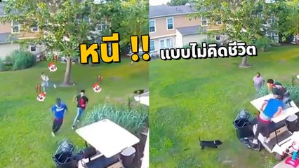 ระทึก ! นาทีสุนัขพิตบูลหลุดจากบ้านวิ่งไล่กัดวัยรุ่น วงแตกหนีกระเจิง