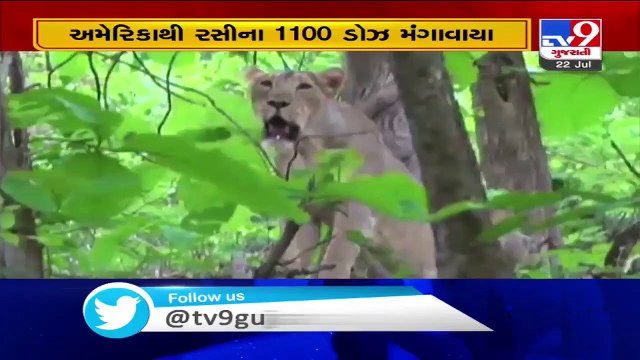 Gujarat- Central GST, excise teams bust bogus billing scam worth Rs 170 crores