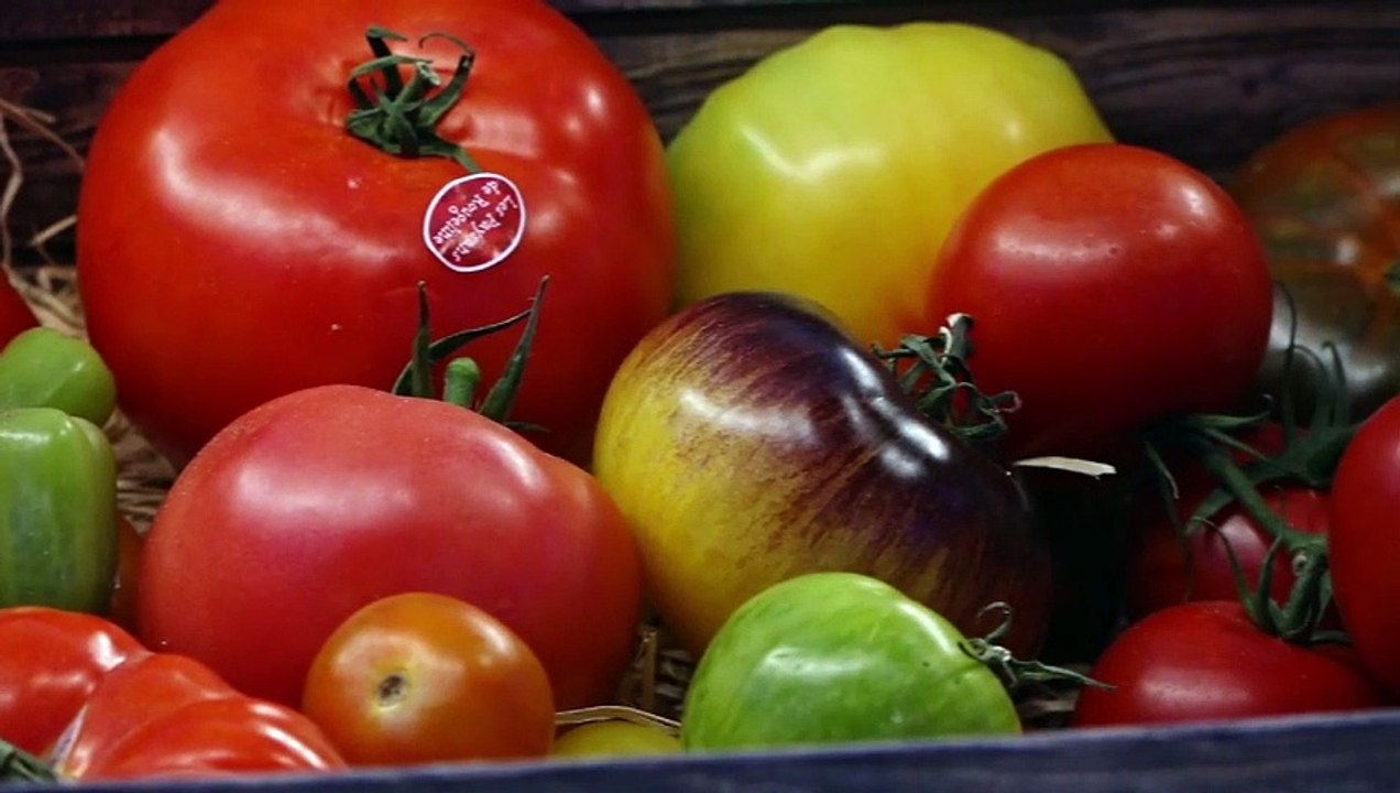 Tomates farcies façon végétariennes