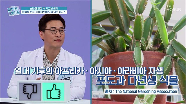 체지방 Bye~ 다이어트에 도움 되는 ‘이것’