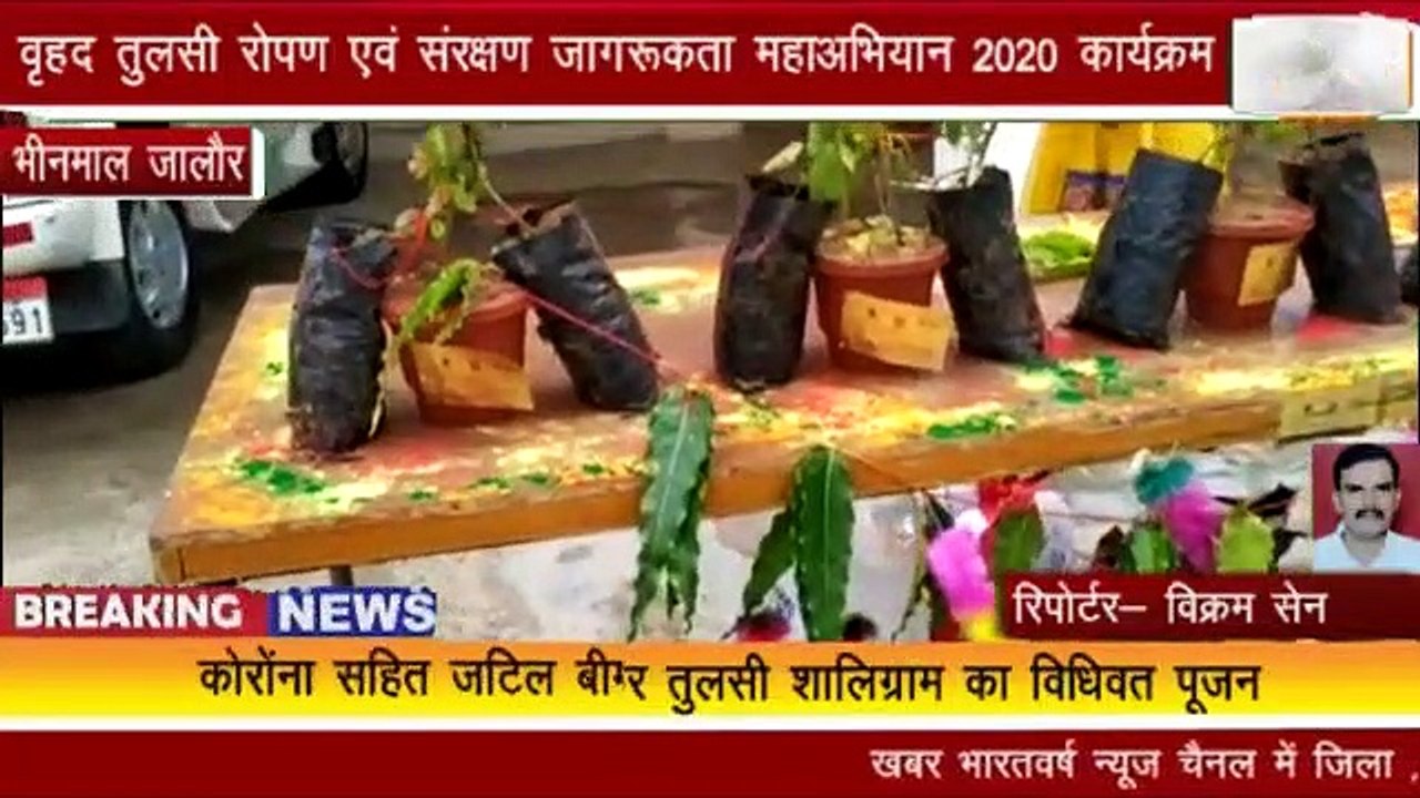 भीनमाल : वृहद तुलसी रोपण एवं संरक्षण जागरूकता महाअभियान 2020 कार्यक्रम आयोजन हुआ