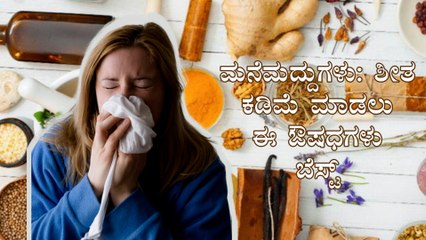 ಮನೆಮದ್ದುಗಳು: ಶೀತ ಕಡಿಮೆ ಮಾಡಲು ಈ ಔಷಧಗಳು ಬೆಸ್ಟ್ | Home Remedies For Cold | Boldsky Kannada