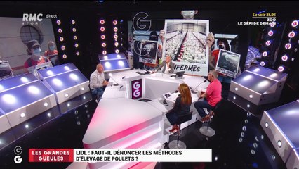 Lidl : faut-il dénoncer les méthodes d'élevage de poulets ? - 22/07