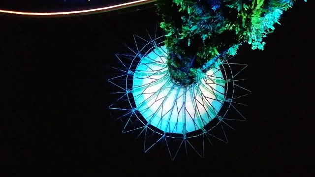 Garden By the bay music Show | Flute Show in Singapore | Supertree Show | Rain Vortex Changi Airport