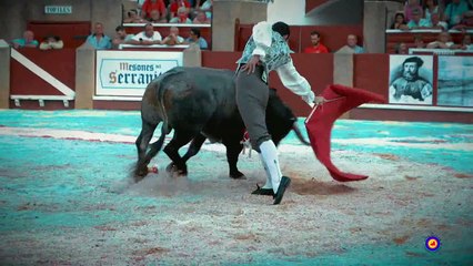 Los miuras vuelven a Sanlúcar para la segunda Corrida Magallánica