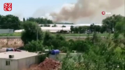 Antalya'da orman yangını