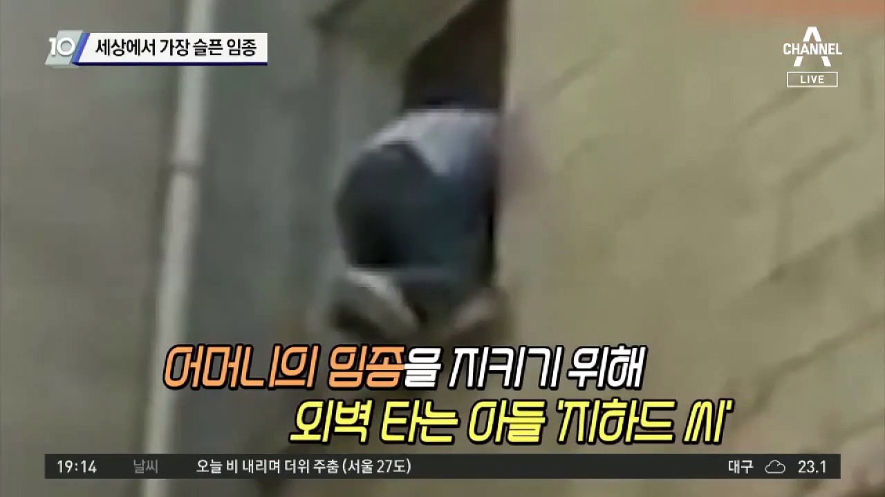 세상에서 가장 슬픈 임종