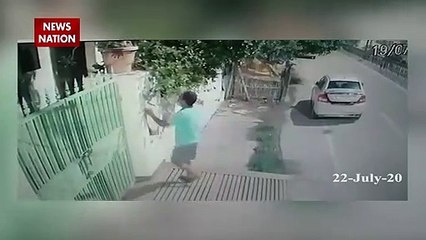 लखनऊ : कार से आया शख्स, गमला चुराकर ले गया