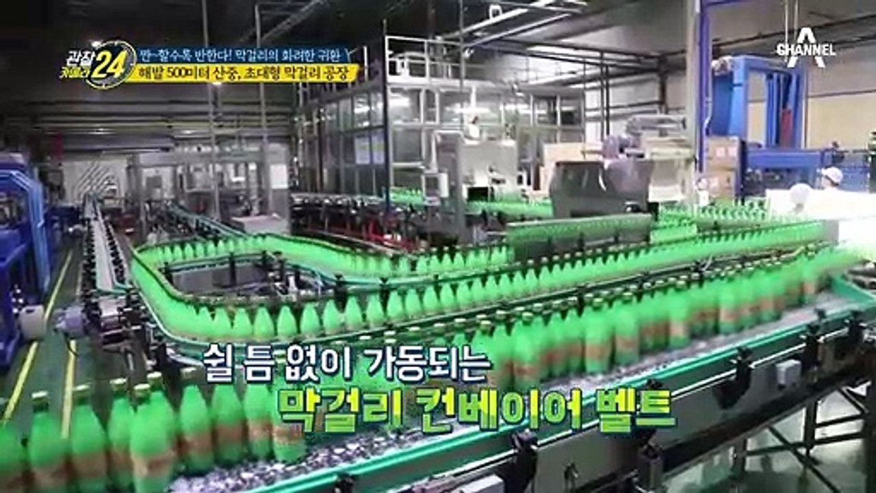 (헉;;) 이게 전부 다 막걸리라고?! 세계로 뻗어 나가는 초대형 막걸리 공장!!