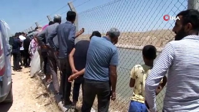 Sulama kanalına giren kuzenler akıntıya kapılarak kayboldu