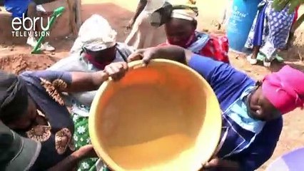 Innovative Farming: Farmers Use Vertical Bag Gardening For Sustenance