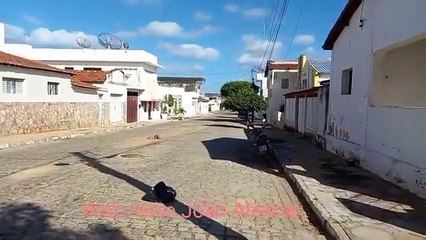 Gato morrendo envenenado em Pombal