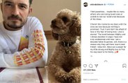 オーランド・ブルーム、愛犬の死を報告