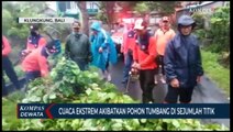 Pohon Tumbang Di Sejumlah Titik Rusak Fasilitas Umum