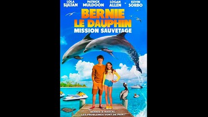 BERNIE LE DAUPHIN 2 (2019) Streaming BluRay-Light (VF)