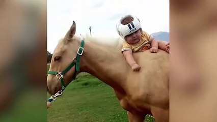 TRY NOT TO LAUGH - New Funny Babies and Animals - Funny Baby Video Compilation 2020