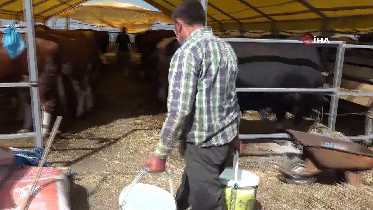 Büyükçekmece’de kurban kesim ve satış alanı bay...