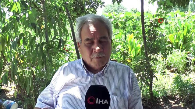 Pınar Gültekin cinayetine tanık olan komşu konuştu: 'Evde yangın var sanıp gittik, Metin bir şeyler yakıyordu'