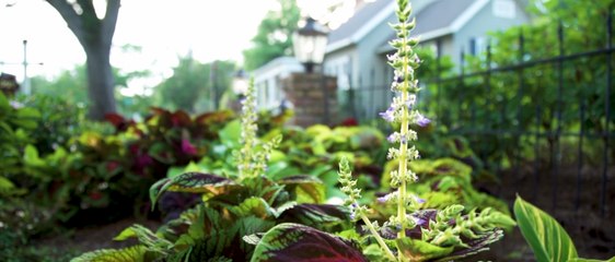 Personal Injury Attorney in Pensacola, FL | (850) 437-9600