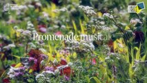 Concert promenade musicale du Château au jardin