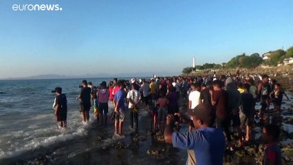 Le cadavre d'une baleine s'échoue sur une plage indonésienne