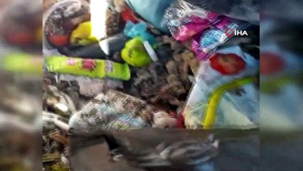 Yavru kediyi çöpe atmışlar