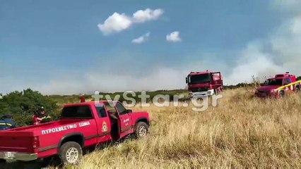 Φωτιά στη Χαιρώνεια του δήμου Λεβαδέων